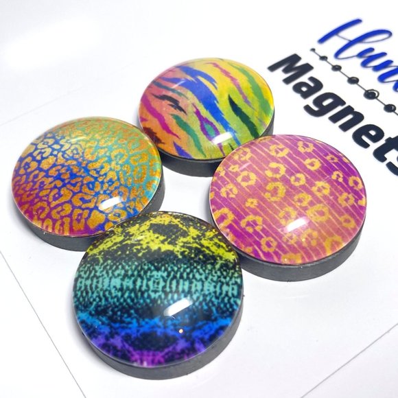 Set of 4 Colorful Animal Prints 3 Magnets - Refrigerator Kitchen Whiteboard - Picture 3 of 3